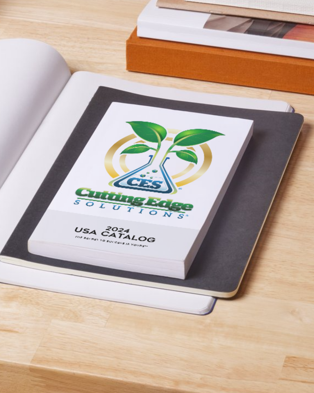 Collection of  in a gallery layout